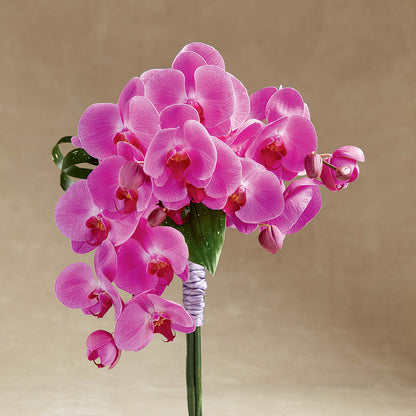 Glorious Bouquet – HORTENSIA'S FLOWERS, Carlsbad CA