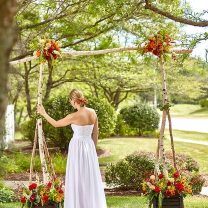 Arbor of Love Archway – HORTENSIA'S FLOWERS, Carlsbad CA