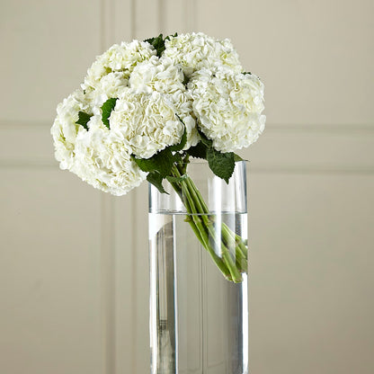 White Hydrangea Hand-Tied Bouquet – HORTENSIA'S FLOWERS, Carlsbad CA