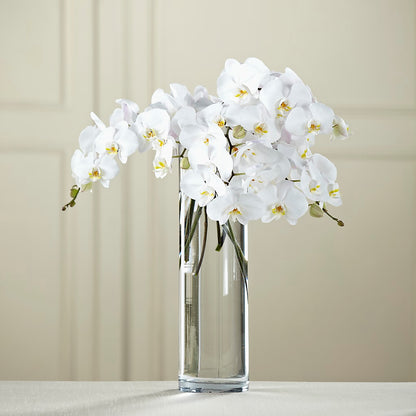 White Phalaenopsis Bouquet – HORTENSIA'S FLOWERS, Carlsbad CA